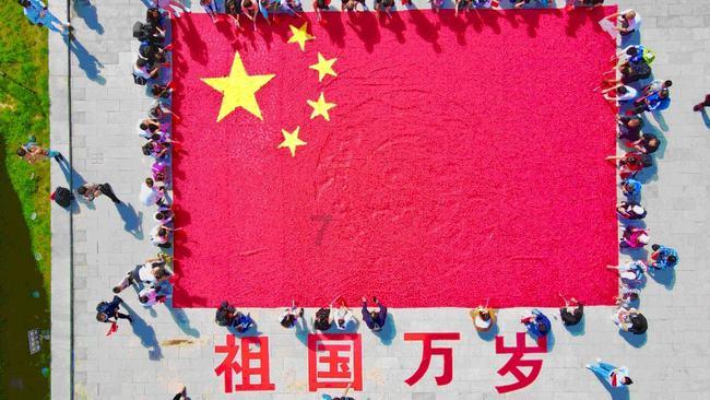 动物帮帮忙保卫家园